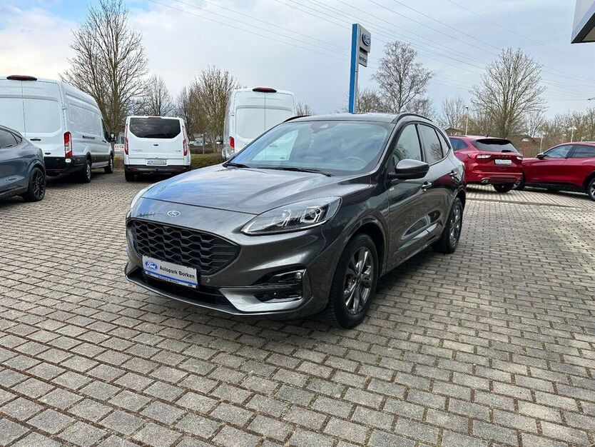 Kuga