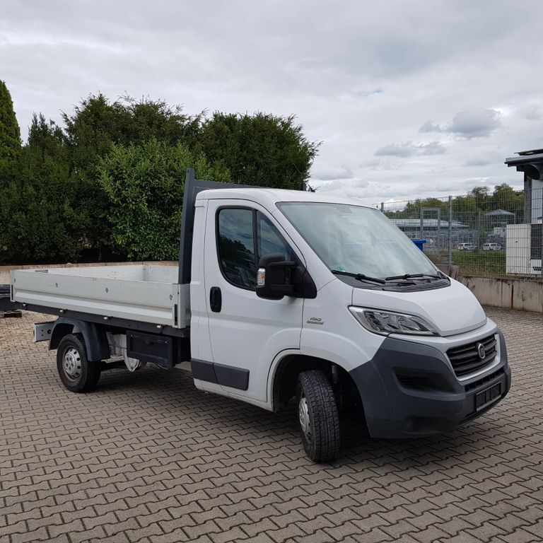 Ducato