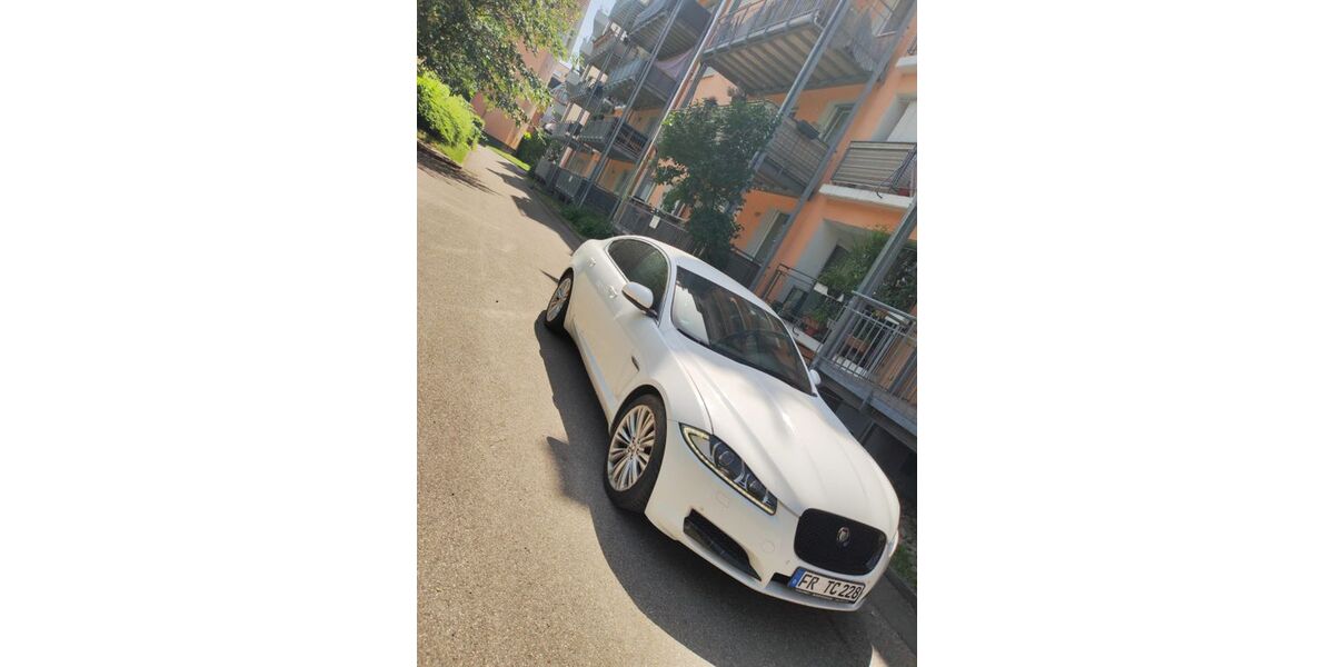 Jaguar XF 393.000 km 4.500 &euro; Freiburg im Breisgau 79106
