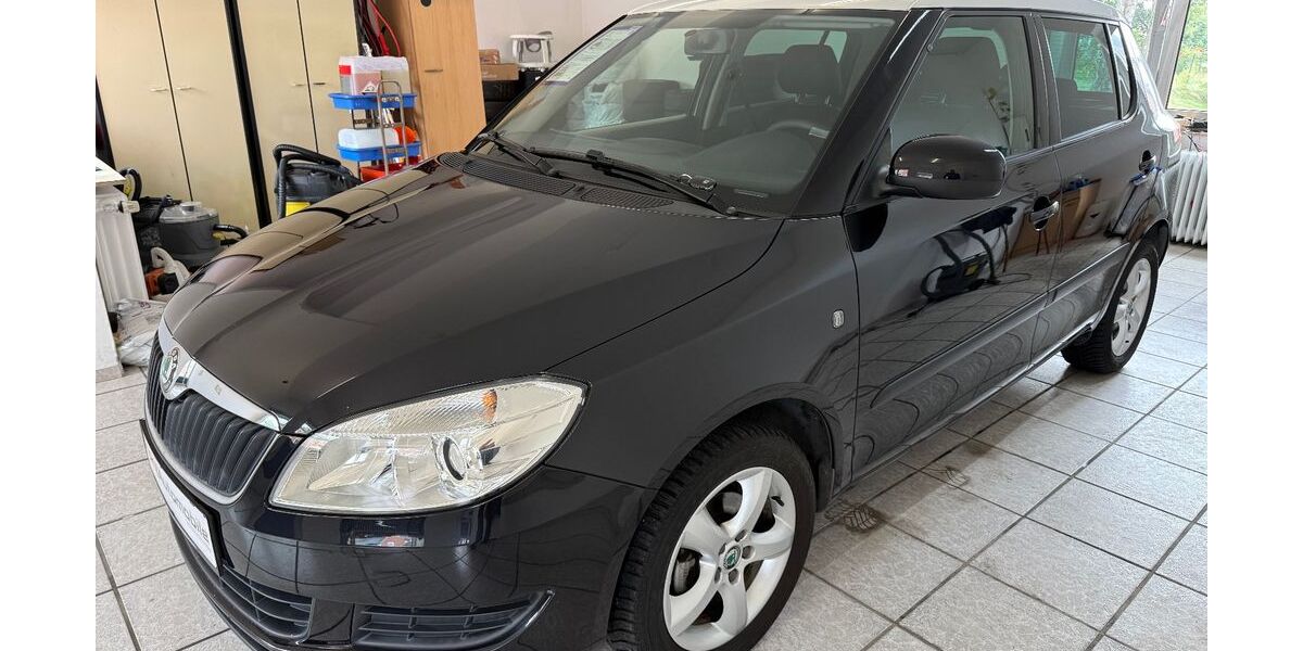 Skoda Fabia 29.000 km 7.800 &euro; Geesthacht (bei Hamburg) 21502