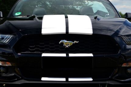 Ford Mustang 74.800 km 20.900 &euro; Mammendorf 82291