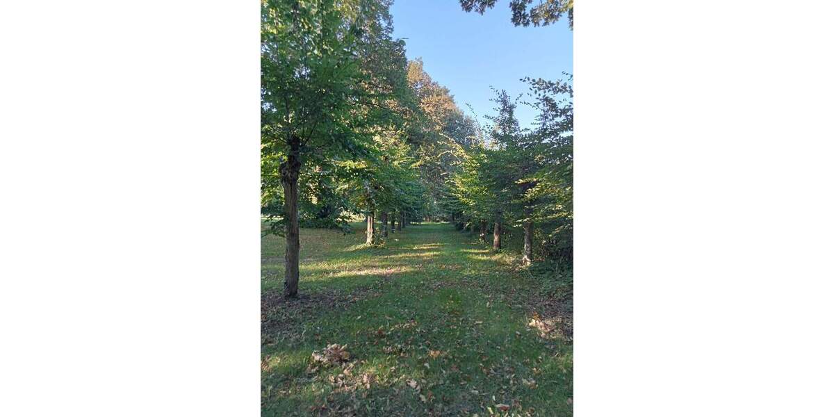 Ihr Schloß mit einer 5*Frühstückspension 3 zimmer