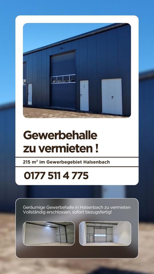 215m² Gewerbehalle zu vermieten zimmer