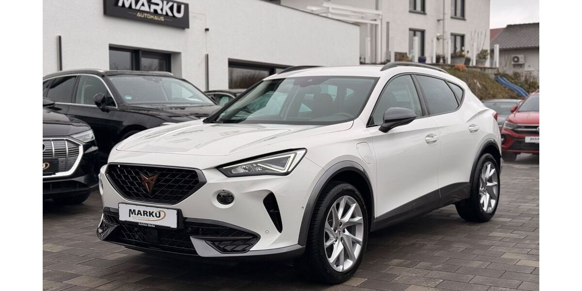 Cupra Formentor 41.900 km 24.900 &euro; Wolfhagen 34466