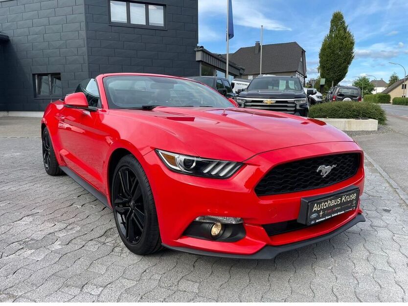 Mustang