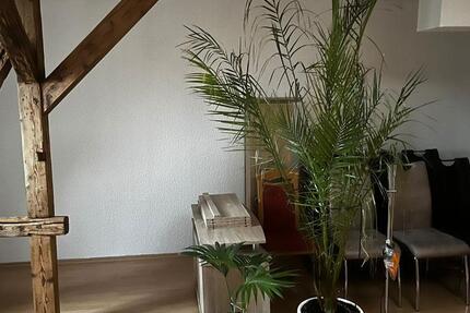 Wohnung Großenhain - 3 Zimmer, 100 m&sup2;, 500&euro; | Angebot:26322826