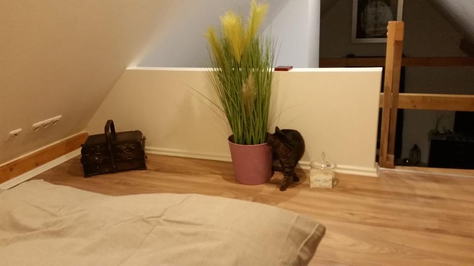 2,5 Zimmer 77qm Wohnung in 90556 Cadolzburg 2.5 zimmer