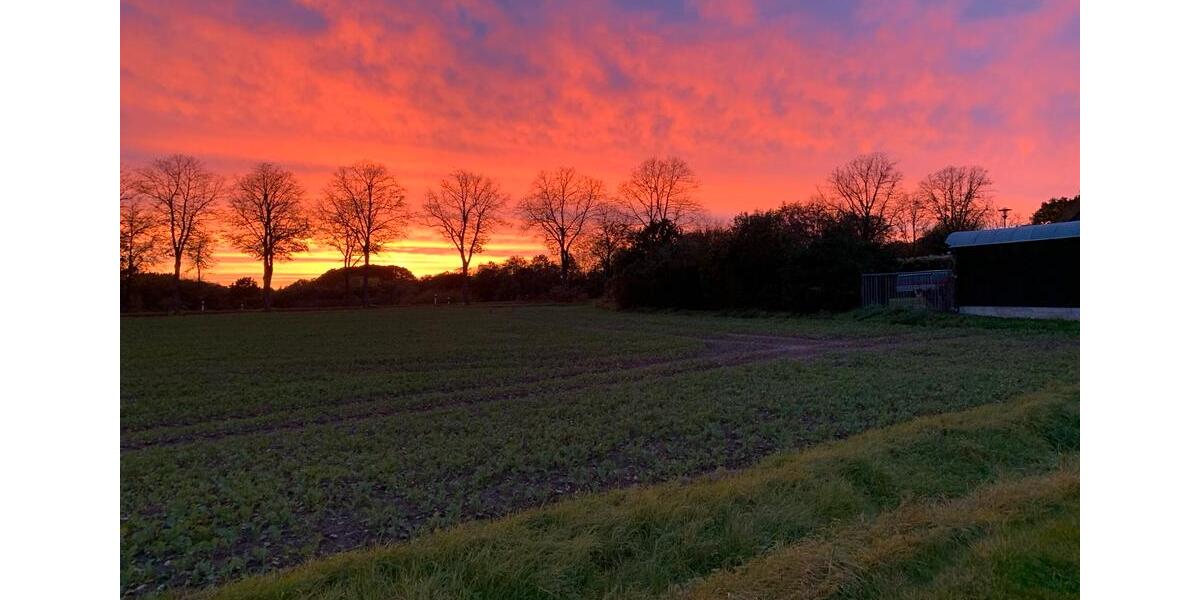 Mietwohnung in Bad Essen 2 zimmer