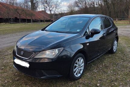 Seat Ibiza 255.441 km 3.250 &euro; Vierden 27419