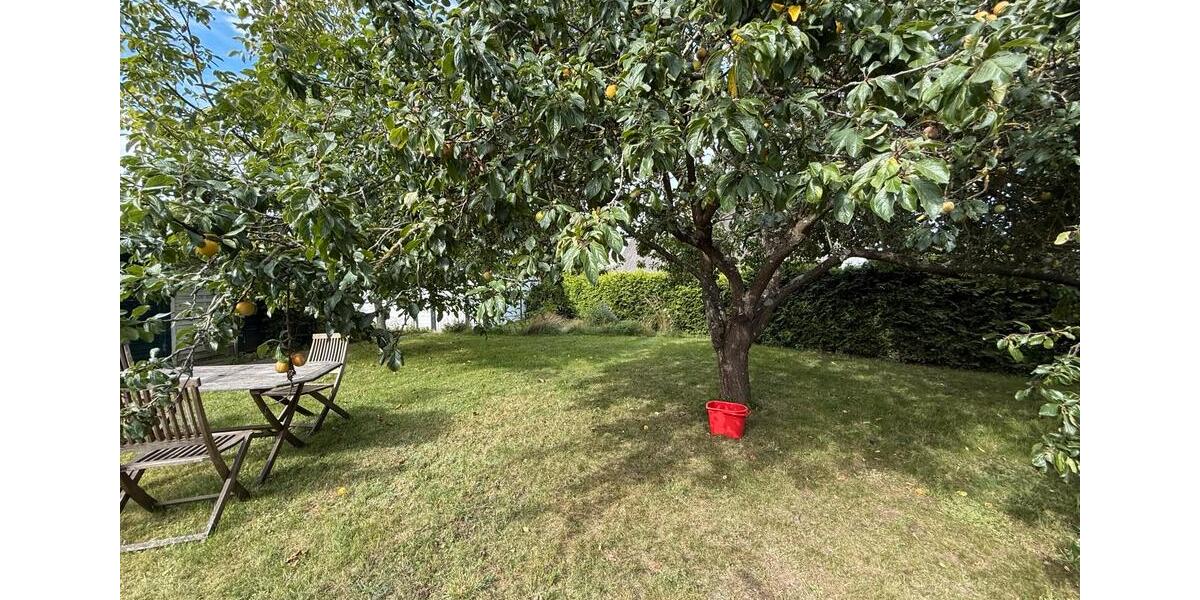 Reetgedecktes Einfamilienhaus auf Usedom in Garz zu vermieten 5 zimmer