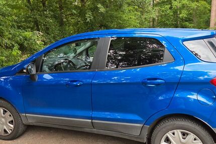 Ford EcoSport 45.541 km 13.000 &euro; Carlsberg 67316
