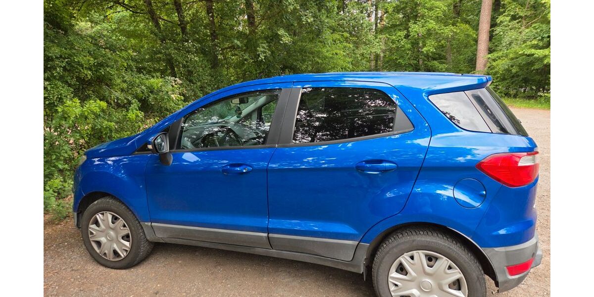 Ford EcoSport 45.541 km 13.000 &euro; Carlsberg 67316