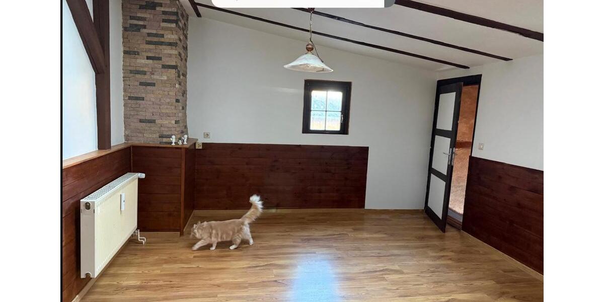 Etagenwohnung Templin - 1 Zimmer, 40 m&sup2;, 300&euro; | Angebot:24573257