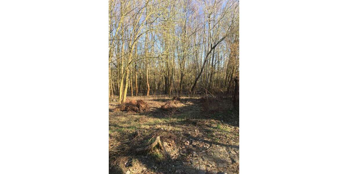 Grundstück Kleinmachnow - 100.000&euro; | Angebot:24436080