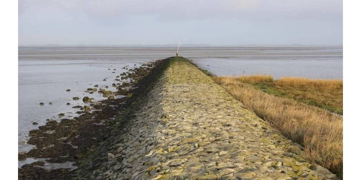 Reihenendhaus Butjadingen Burhave - 4 Zimmer, 66 m&sup2;, 274.800&euro; | Angebot:23985504