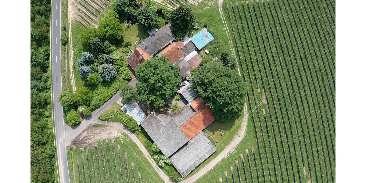 Der Neuenhof - Gewerbeobjekt Remagen | Angebot:24748296