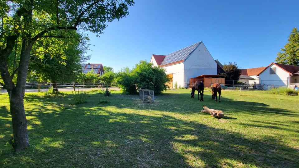 Bauernhaus, Landhaus Münchsmünster - 5 Zimmer, 160 m&sup2;, 1.820&euro; | Angebot:25958704