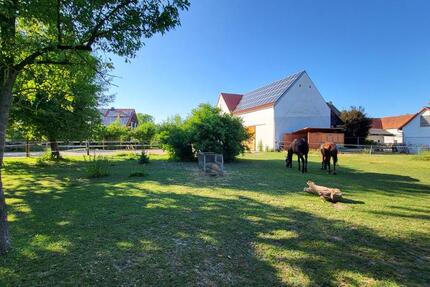 Haus Münchsmünster - 5 Zimmer, 160 m&sup2;, 1.820&euro; | Angebot:25958704