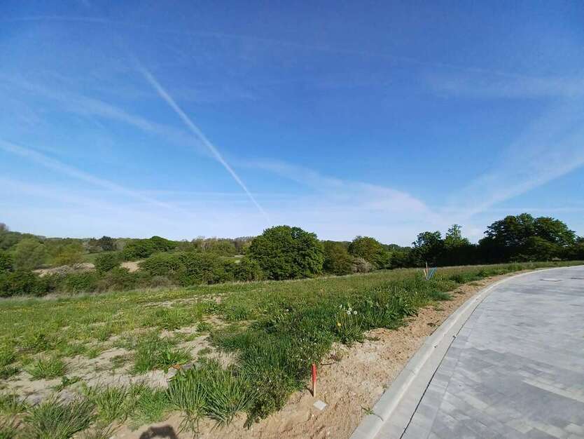 Grundstück zu verkaufen in Schönberg (Mecklenburg) 250.000 € 1831 m² zimmer