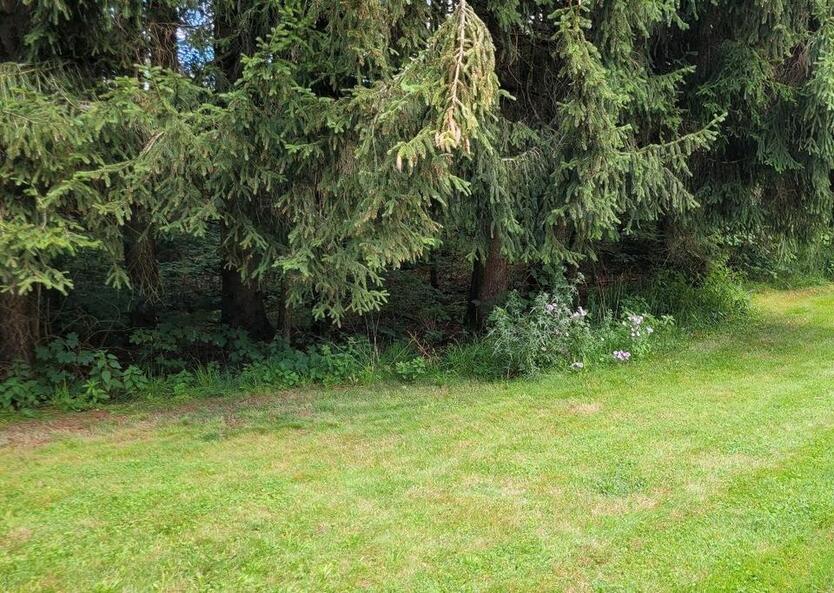 Mehrgenerationenhaus Haus für Großfamilie zu vermieten!