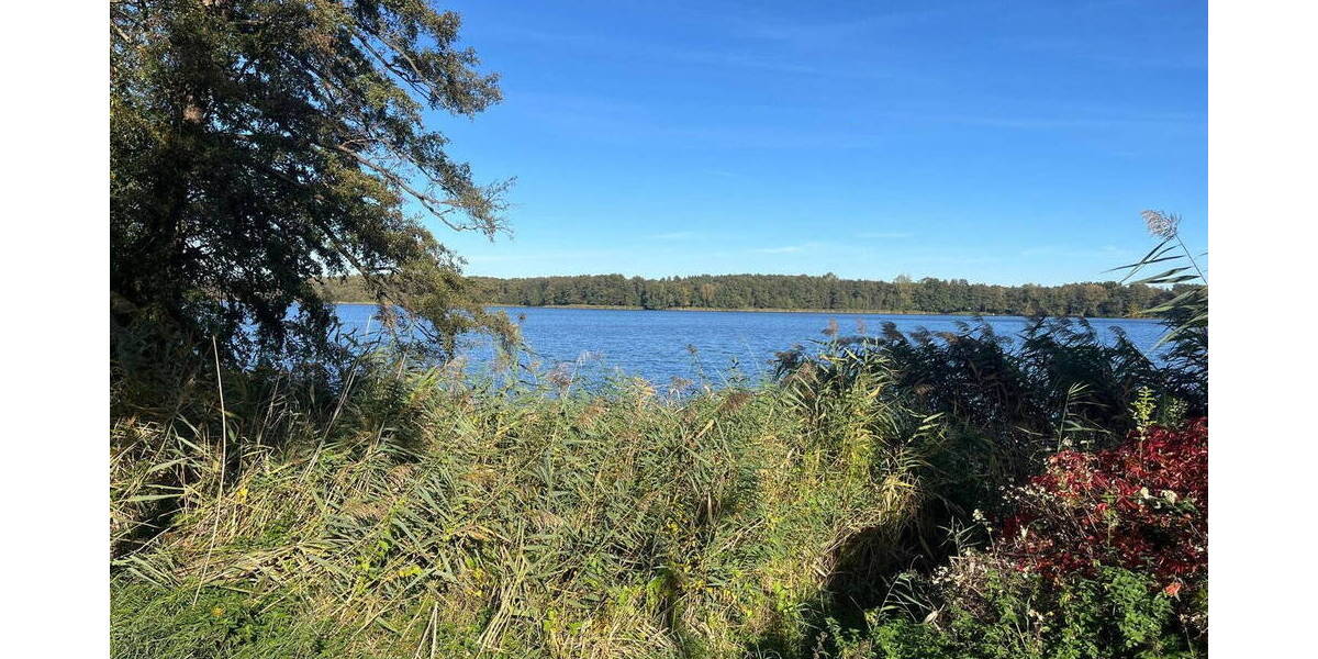 Grundstück Königs Wusterhausen Zeesen Zeesen - 480.000&euro; | Angebot:26339411
