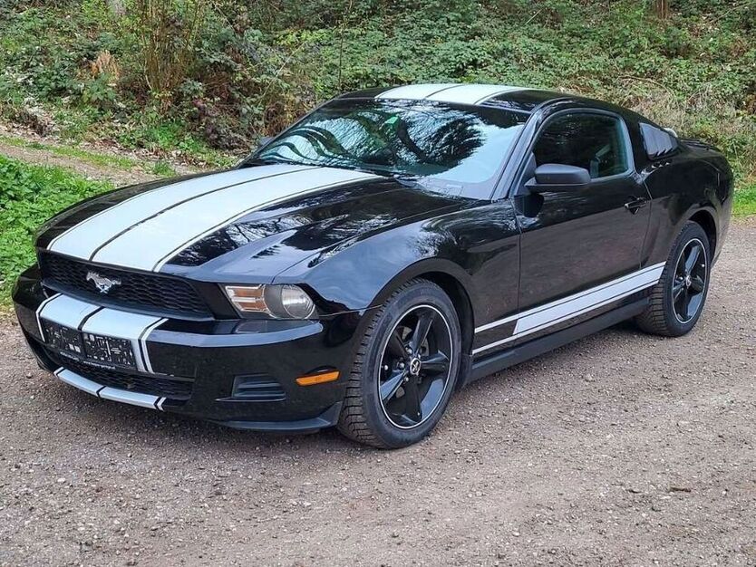 Mustang