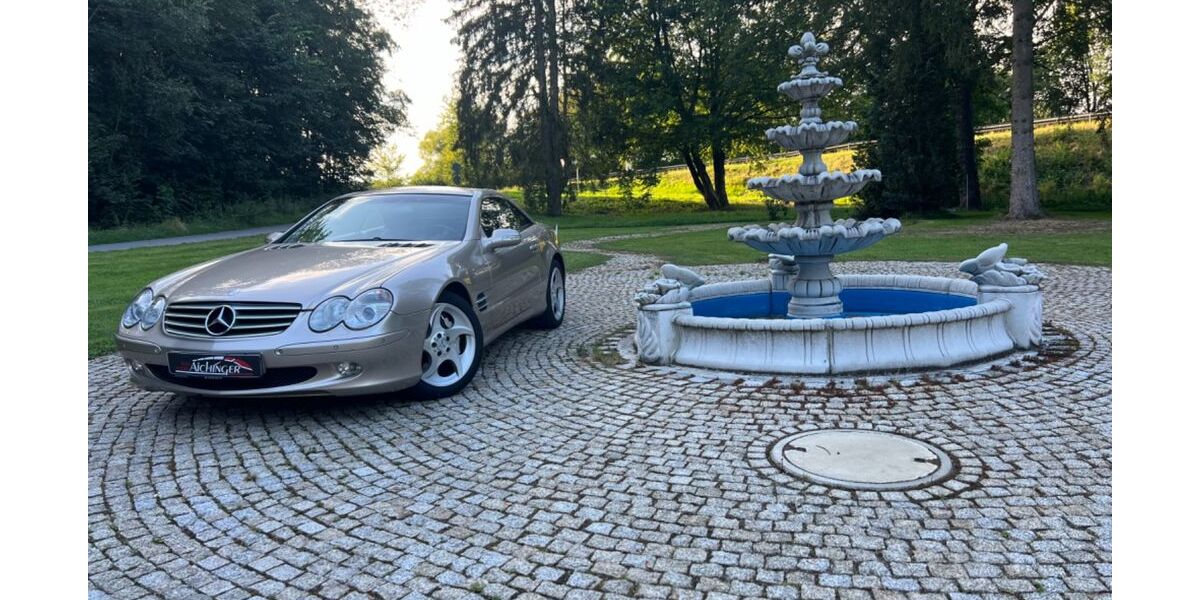 Mercedes-Benz SL 600 164.600 km 29.490 &euro; Floß 92685