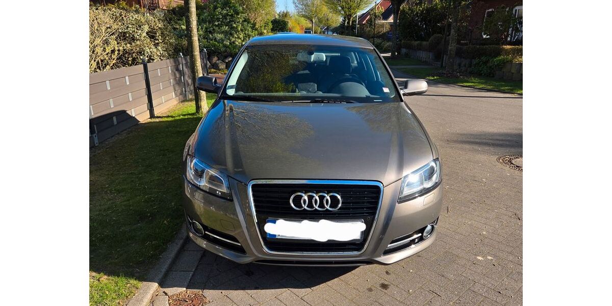 Audi A3 191.197 km 8.199 &euro; Heide 25746