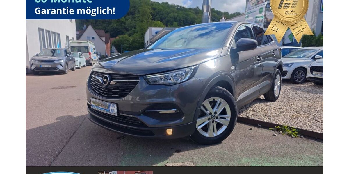 Opel Grandland (X) 79.029 km 16.790 &euro; Schwäbisch Hall 74523