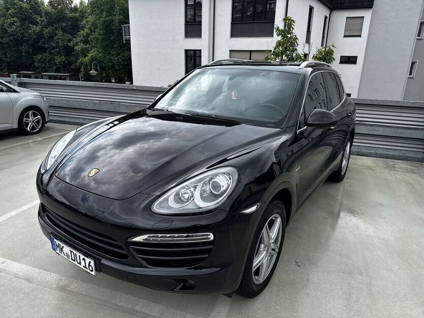 Cayenne