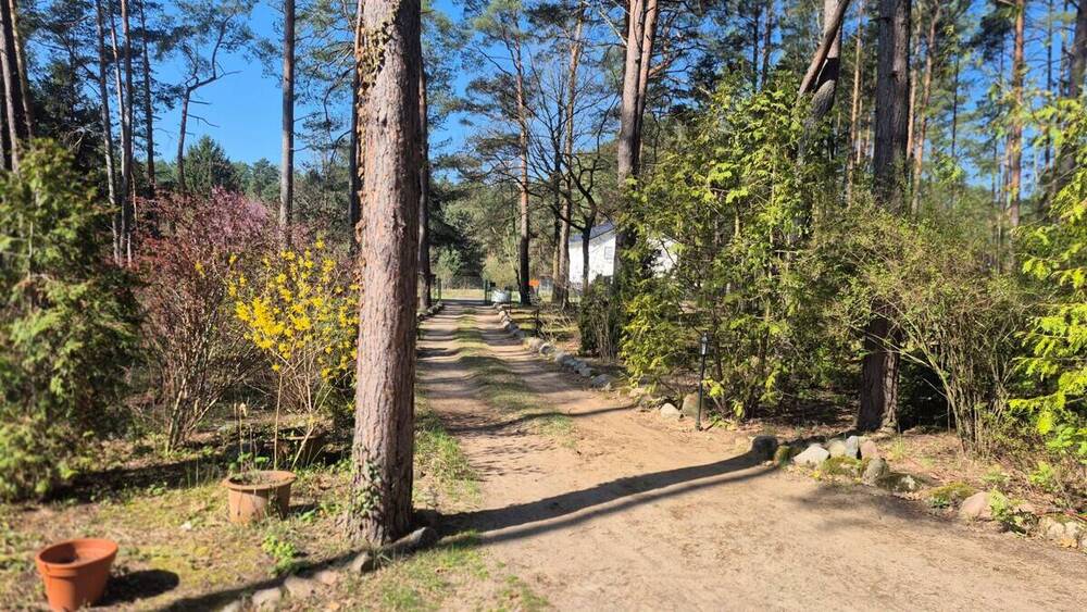 Grundstück Beelitz / Fichtenwalde Fichtenwalde - 179.000&euro; | Angebot:26292708