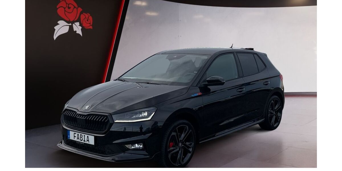 Skoda Fabia 2.006 km 30.989 &euro; Donaueschingen 78166