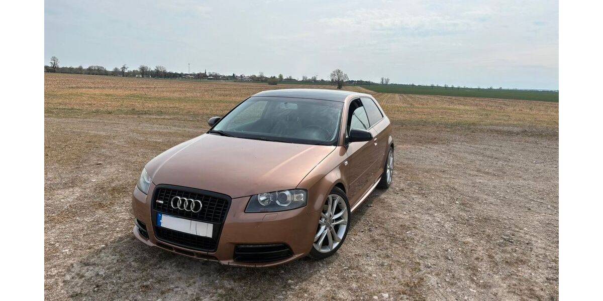 Audi A3 265.000 km 2.699 &euro; Bartow 17089