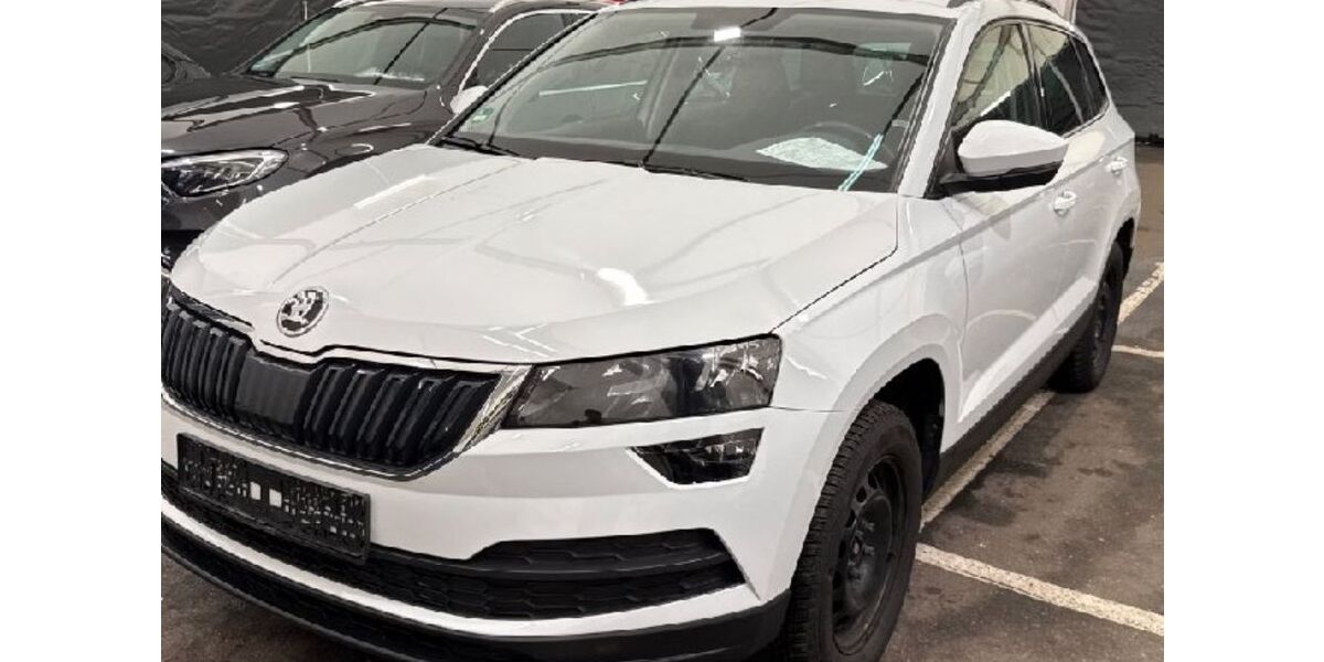 Skoda Karoq 167.000 km 13.447 &euro; Heidelberg 69123
