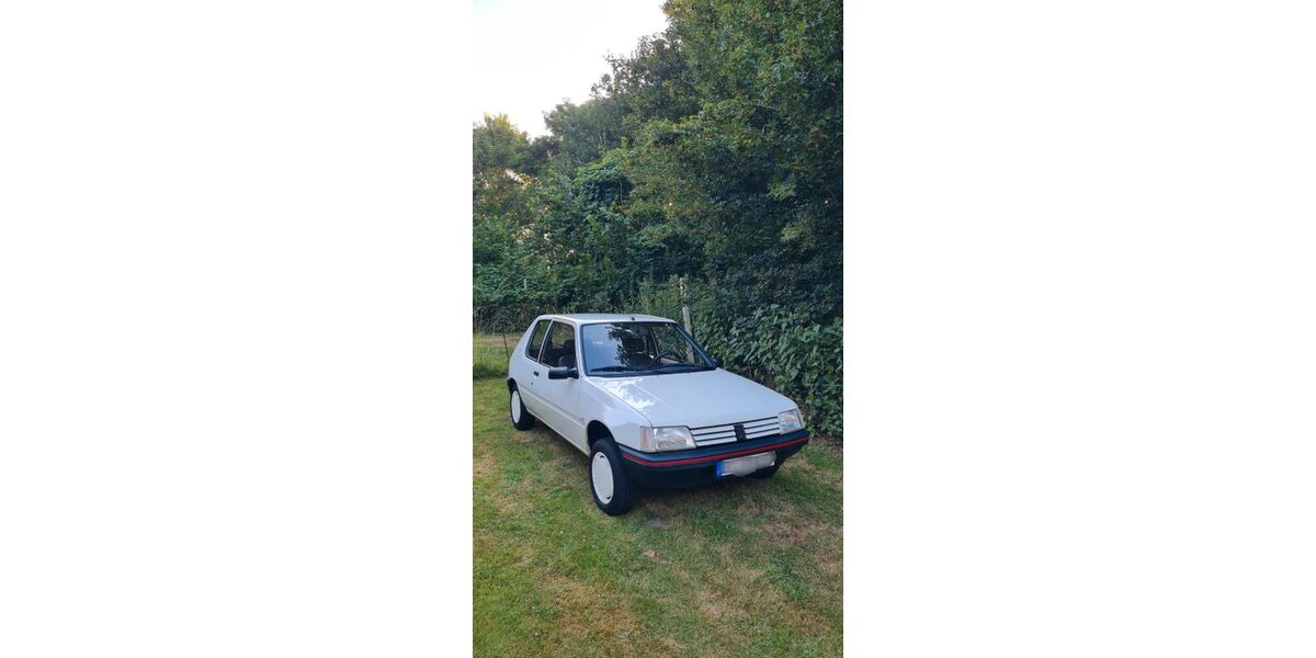 Peugeot 205 131.000 km 5.399 &euro; Syke 28857