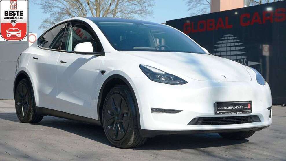 Model Y