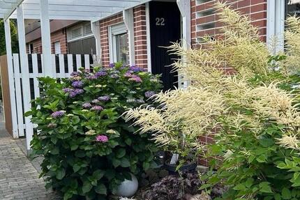 Haus Lübbecke - 3 Zimmer, 133 m&sup2;, 239.000&euro; | Angebot:25408062