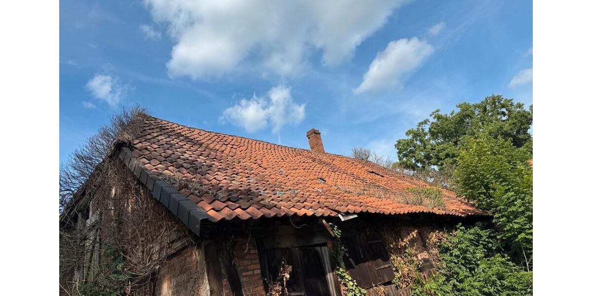 Gewerbeobjekt Edemissen - 5.000&euro; | Angebot:24743321