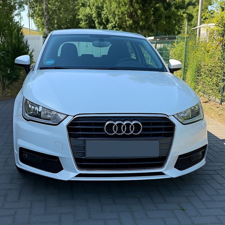 A1