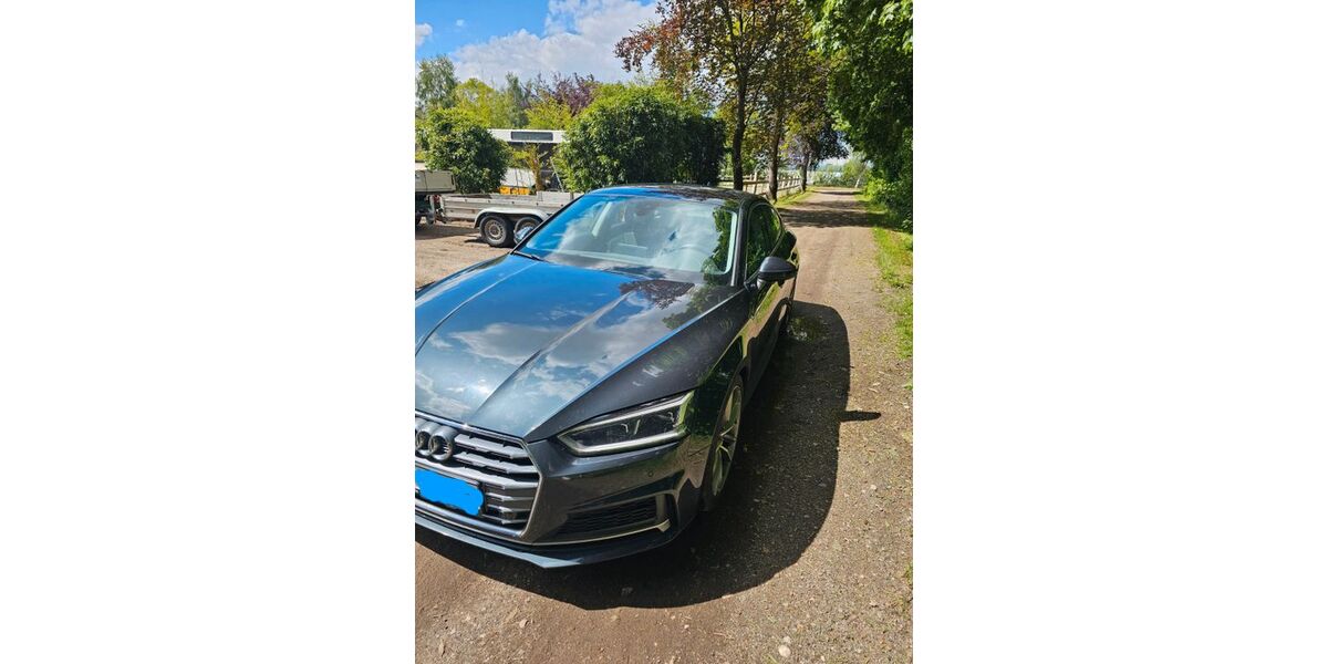 Audi A5 214.000 km 19.999 &euro; Ottendorf 21702
