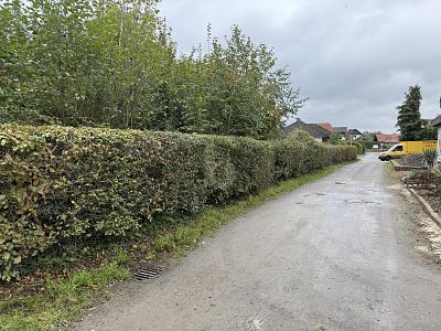 IHR NEUES ZUHAUSE IN RUHIGER SACKGASSENLAGE - Grundstück Fürstenau | Angebot:25722180