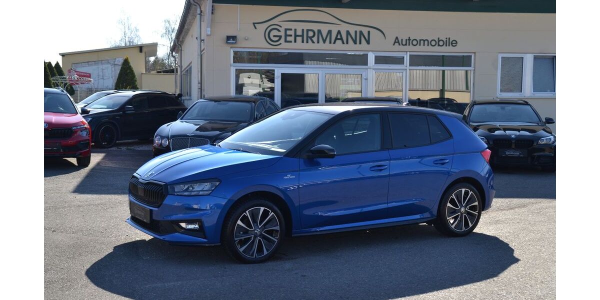 Skoda Fabia 4.200 km 22.717 &euro; Bad Waldsee 88339